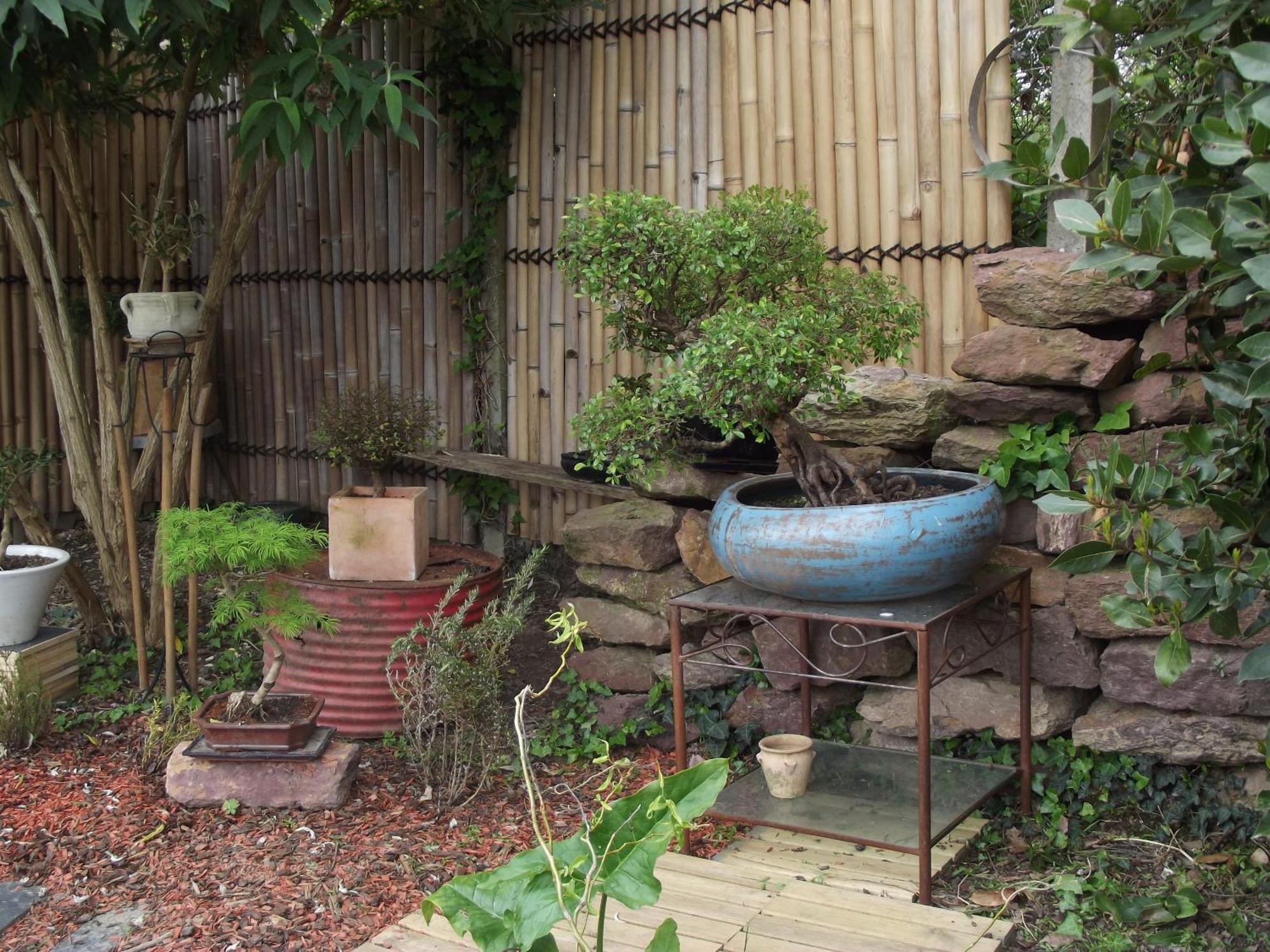 Il était une fois Brocéliande Saint-Malon-sur-Mel Extérieur photo